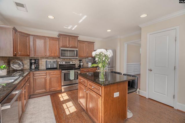133 Palm St, Chapin, SC 29036