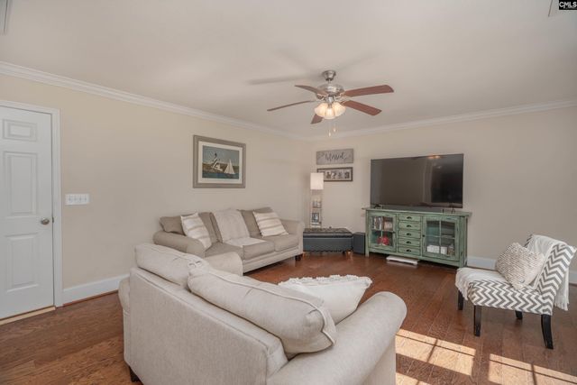 133 Palm St, Chapin, SC 29036