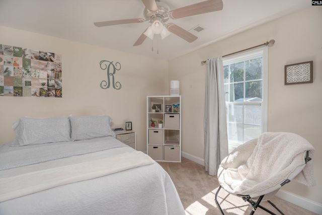 133 Palm St, Chapin, SC 29036