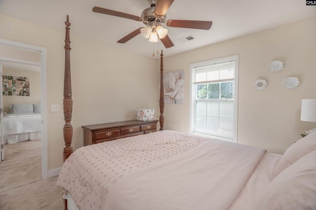 133 Palm St, Chapin, SC 29036