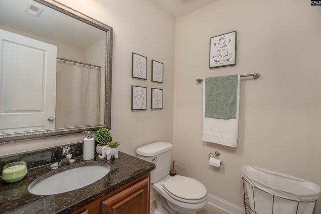 133 Palm St, Chapin, SC 29036