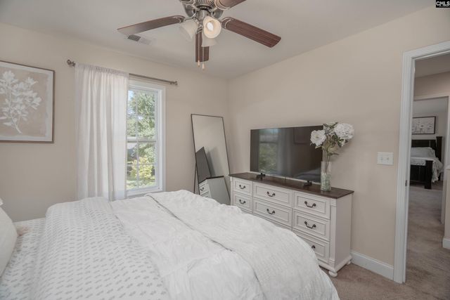 133 Palm St, Chapin, SC 29036