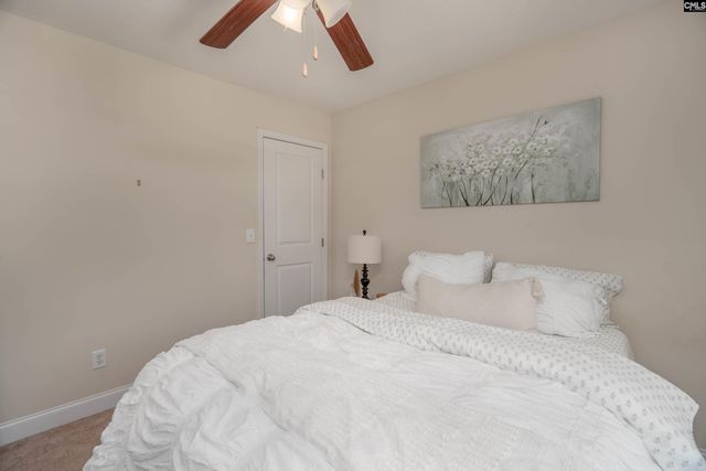 133 Palm St, Chapin, SC 29036