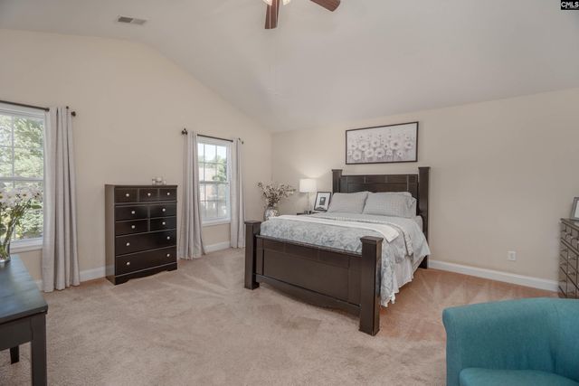 133 Palm St, Chapin, SC 29036