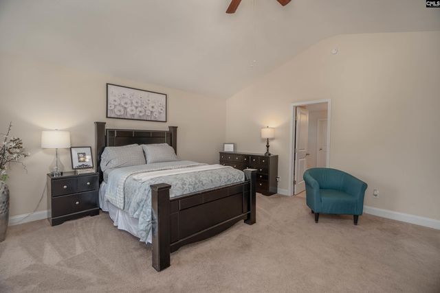 133 Palm St, Chapin, SC 29036