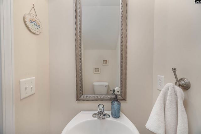 133 Palm St, Chapin, SC 29036