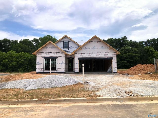2038 Raspberry Lane, Cullman, AL 35055
