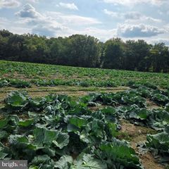 0 BLUE BELL RD, Williamstown, NJ 08094