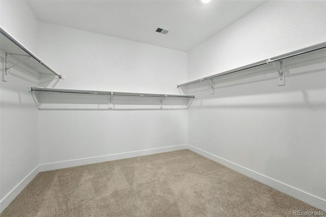 1694 Fox Trotter Point, Castle Rock, CO 80104