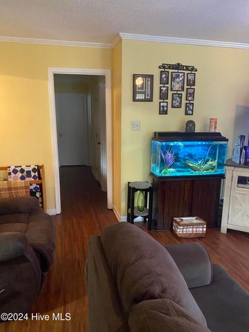 804 Scott Street, Goldsboro, NC 25730