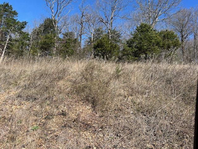 225 Stateline Drive, Holiday Island, AR 72631