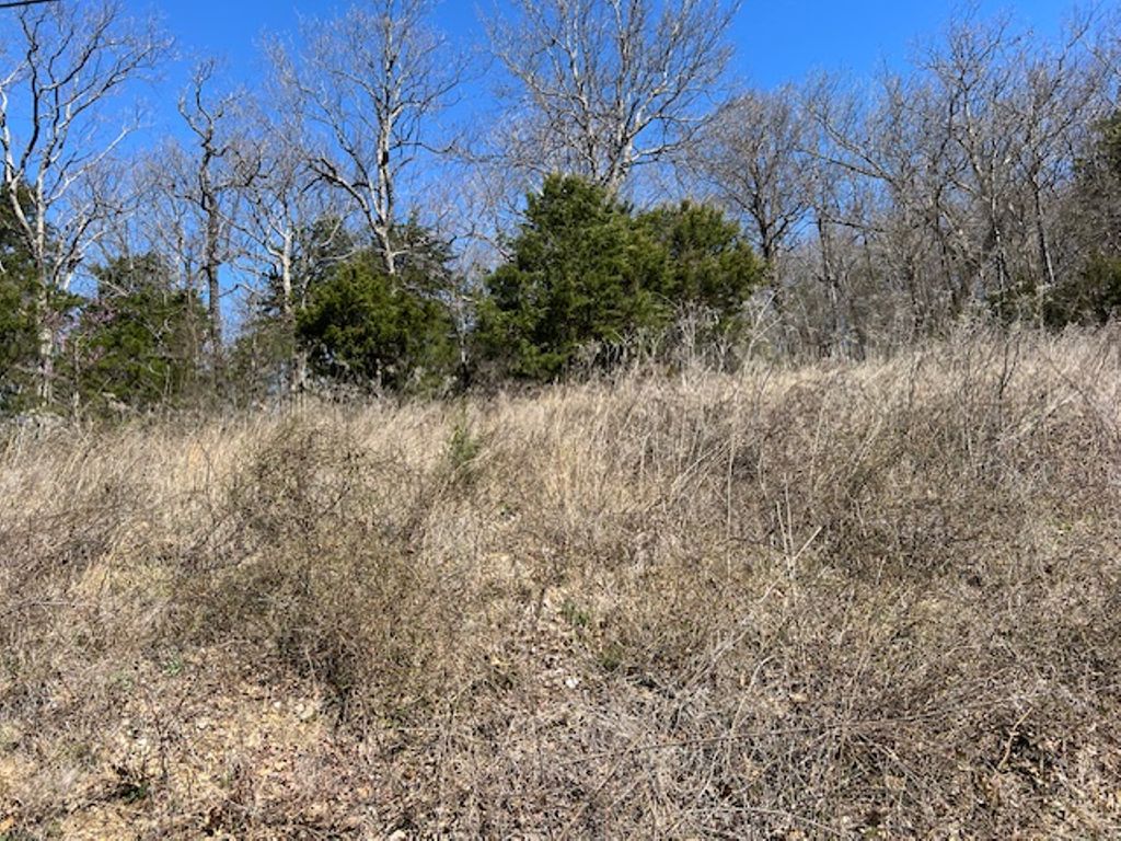 225 Stateline Drive, Holiday Island, AR 72631