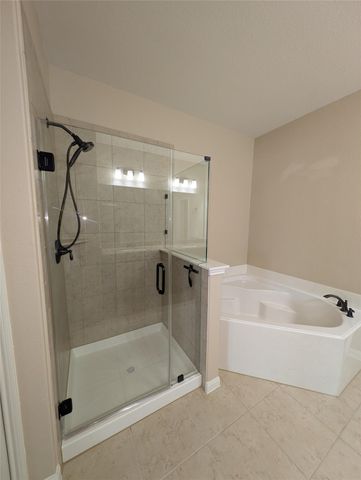 21210 Echo Manor Drive, Hockley, TX 77447