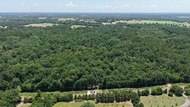 1595 County Road 4112, Canton, TX 75103