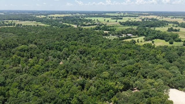 1595 County Road 4112, Canton, TX 75103