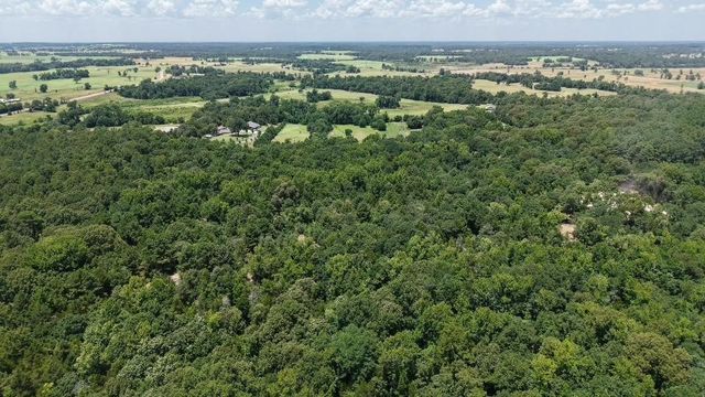 1595 County Road 4112, Canton, TX 75103