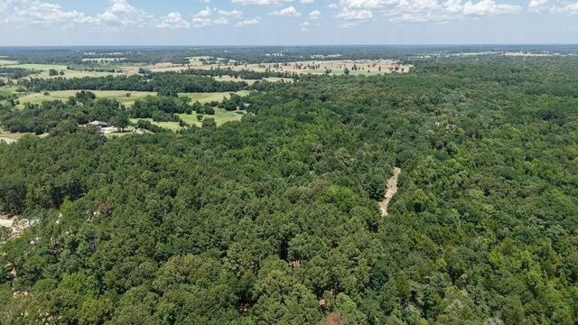 1595 County Road 4112, Canton, TX 75103