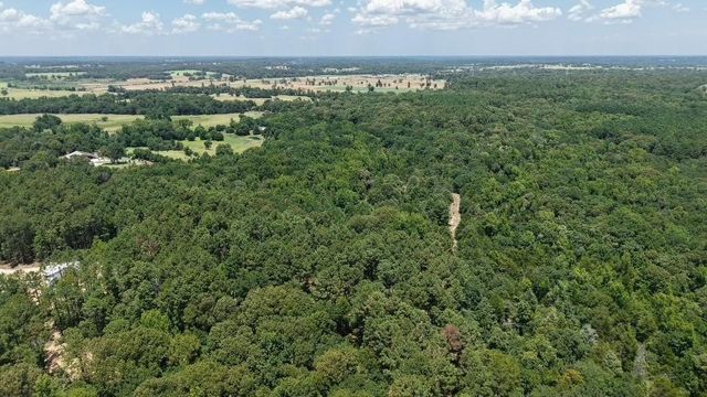 1595 County Road 4112, Canton, TX 75103