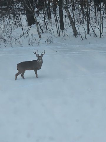 3524 385th Avenue NW, Stanchfield, MN 55080