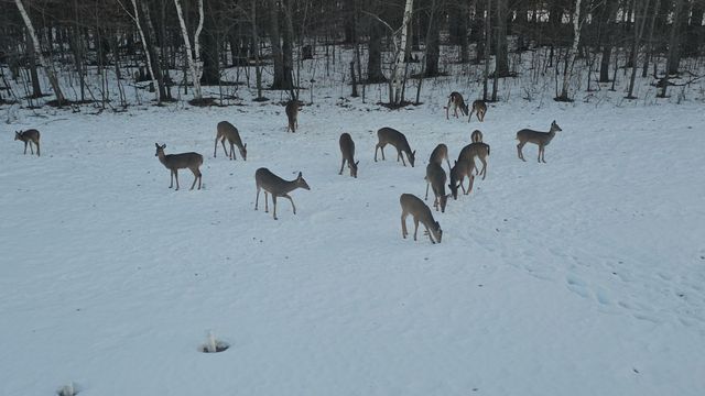 3524 385th Avenue NW, Stanchfield, MN 55080