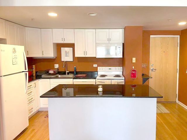1041 Susan Collins Lane 501, Oak Park, IL 60302