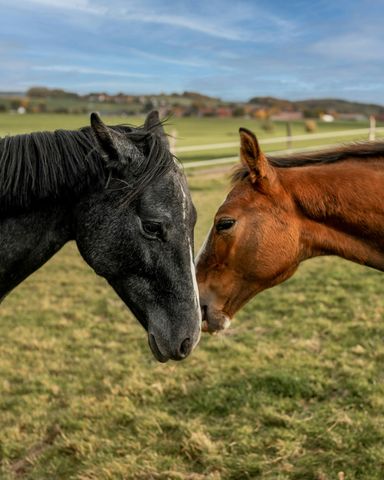 2072 Conductor Ln, Thompsons Station, TN 37179