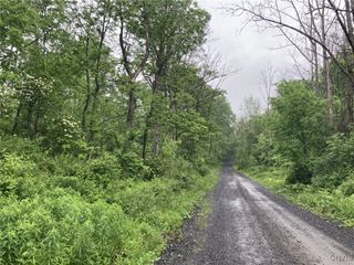 Lynch Road, Norway, NY 13416