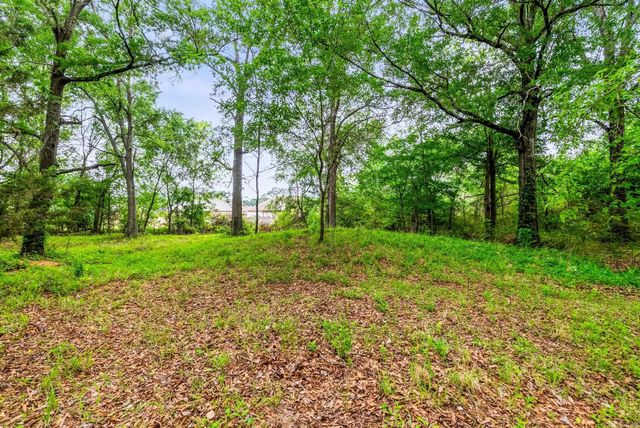 43 EVE, Conway, AR 72034