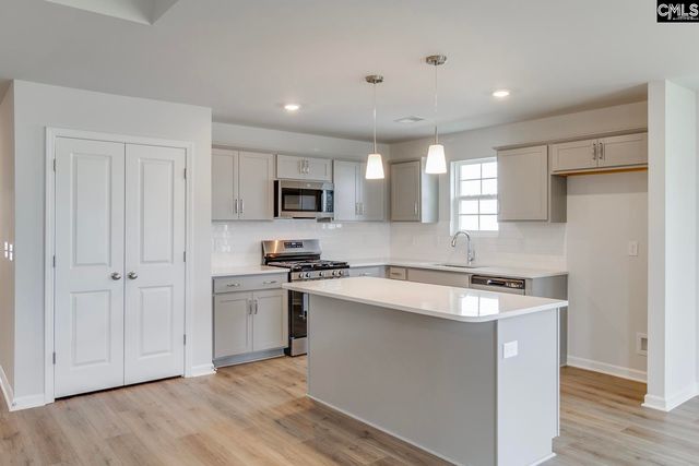 718 Clementine Run, Gilbert, SC 29054