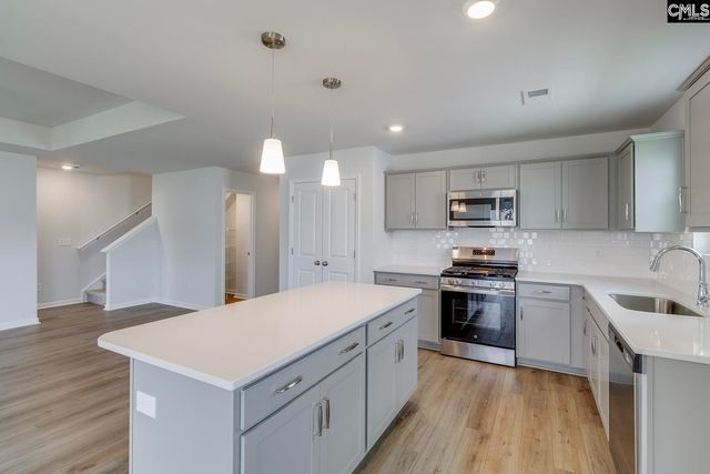 718 Clementine Run, Gilbert, SC 29054