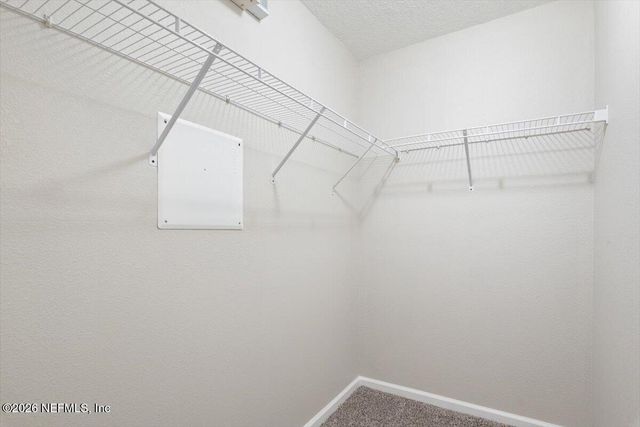 6237 SYRINGA Lane, Jacksonville, FL 32211