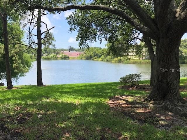2690 CORAL LANDINGS BOULEVARD 438, Palm Harbor, FL 34684