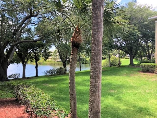 2690 CORAL LANDINGS BOULEVARD 438, Palm Harbor, FL 34684