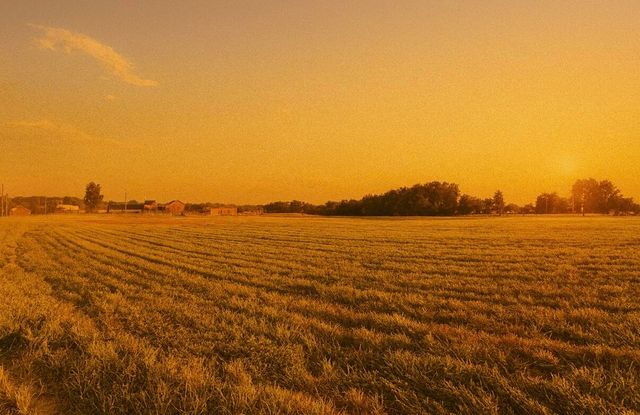 102 Carlton Crossing, Lawrenceburg, KY 40342