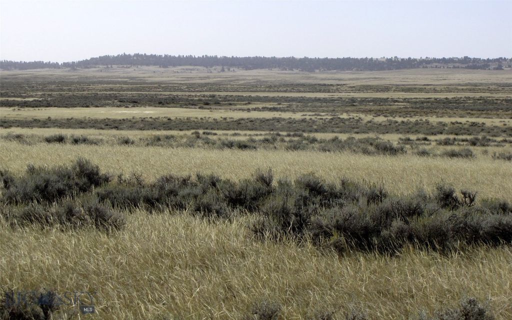 tbd Lindstrom Road, Shepherd, MT 59079