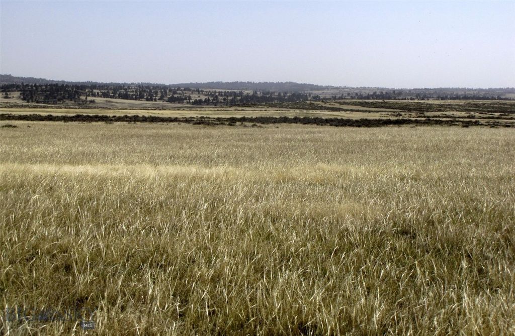 tbd Lindstrom Road, Shepherd, MT 59079 photo 11
