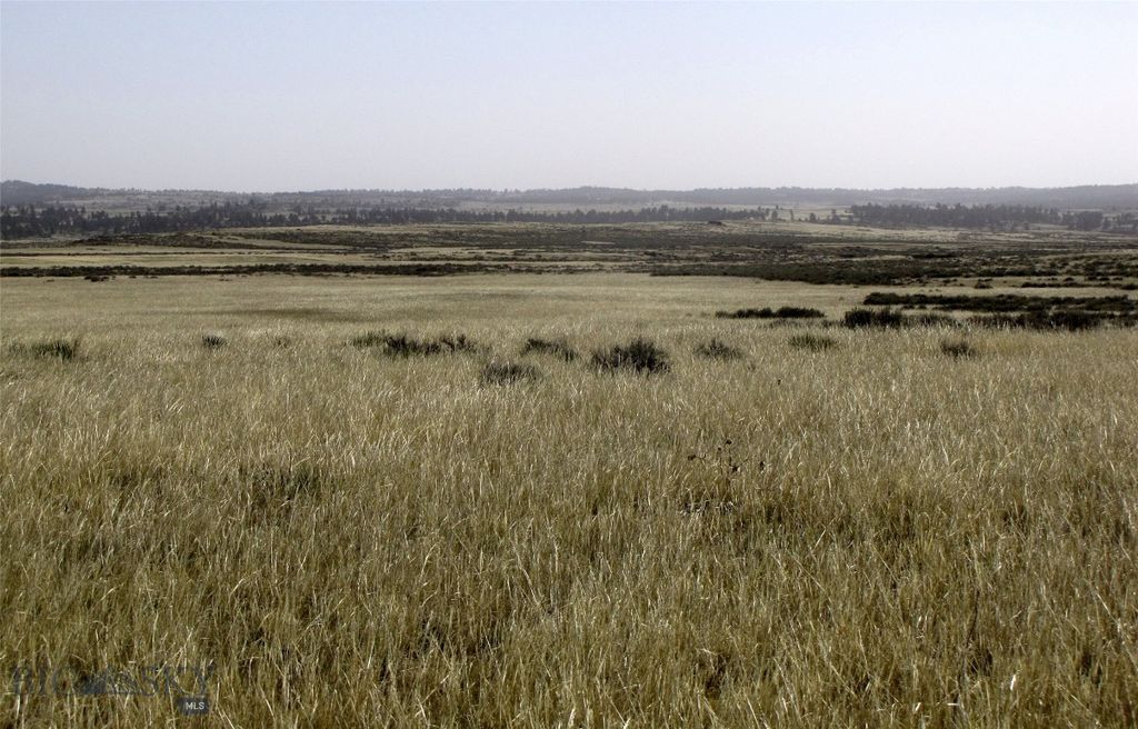 tbd Lindstrom Road, Shepherd, MT 59079 photo 3