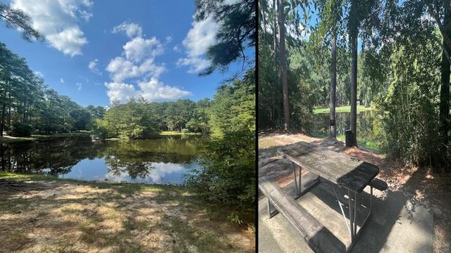 15019 Timbershire Court, Magnolia, TX 77355