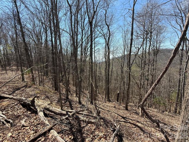 000 Granny Shepherd Road lot 4, Mars Hill, NC 28754