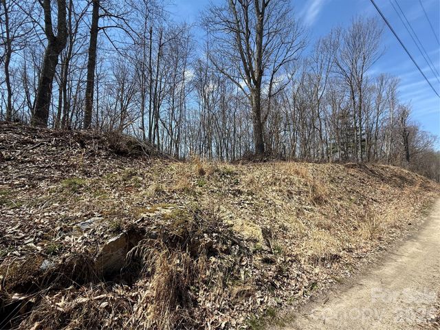000 Granny Shepherd Road lot 4, Mars Hill, NC 28754