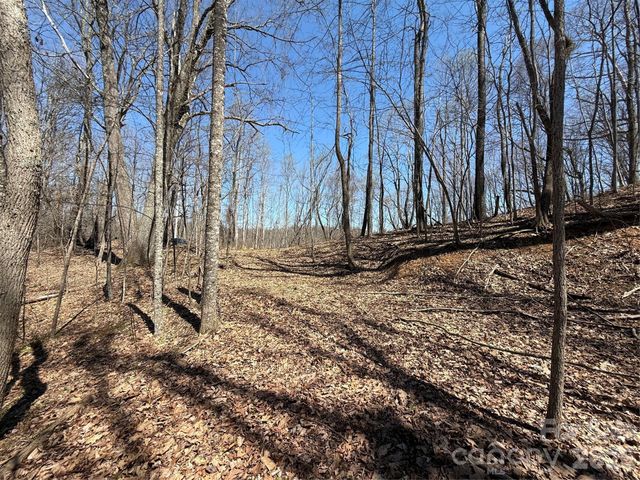 000 Granny Shepherd Road lot 4, Mars Hill, NC 28754