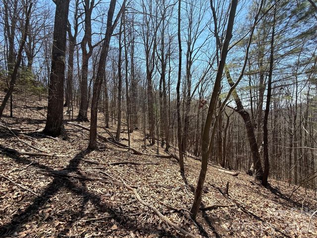 000 Granny Shepherd Road lot 4, Mars Hill, NC 28754