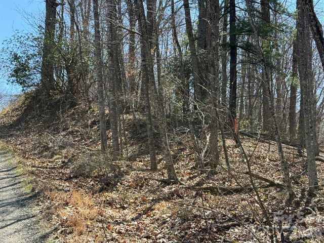 000 Granny Shepherd Road lot 4, Mars Hill, NC 28754