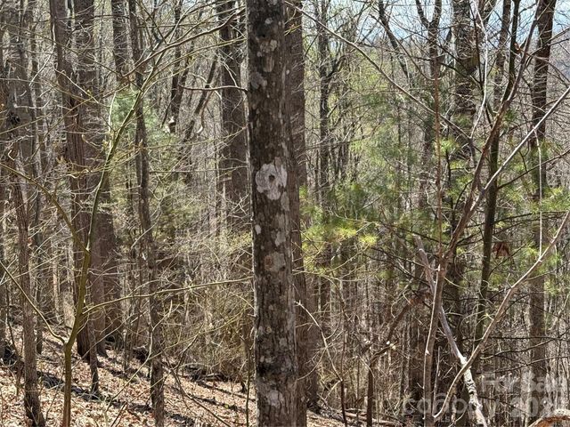 000 Granny Shepherd Road lot 4, Mars Hill, NC 28754