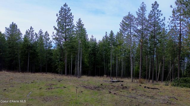 13476 W Margishward RD, Post Falls, ID 83854