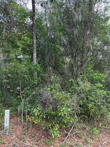 TBD LARCH COURSE, Ocala, FL 34480