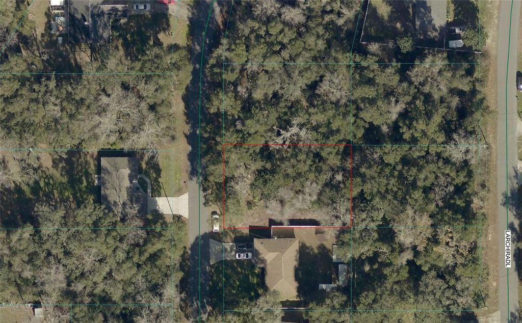 TBD LARCH COURSE, Ocala, FL 34480