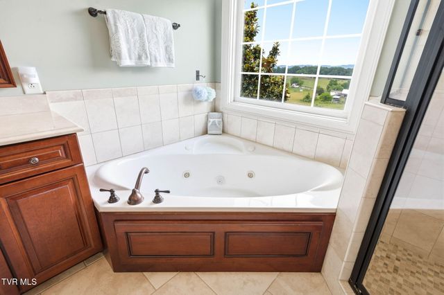286 Sunset Ridge Court, Johnson City, TN 37615