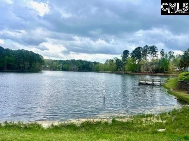 118 Clubside Drive, Lexington, SC 29072