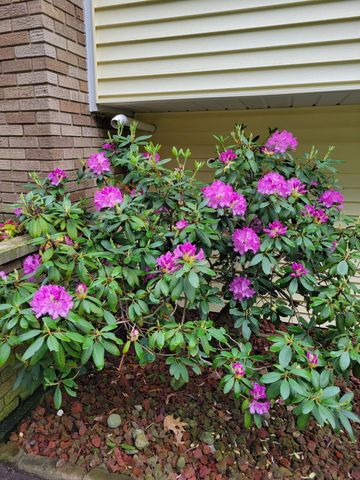 165 Thelma Drive, Battle Creek, MI 49014